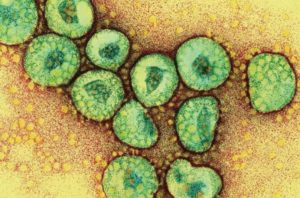 All You Need to Know About Coronavirus