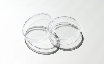 2 clear glass round bowls