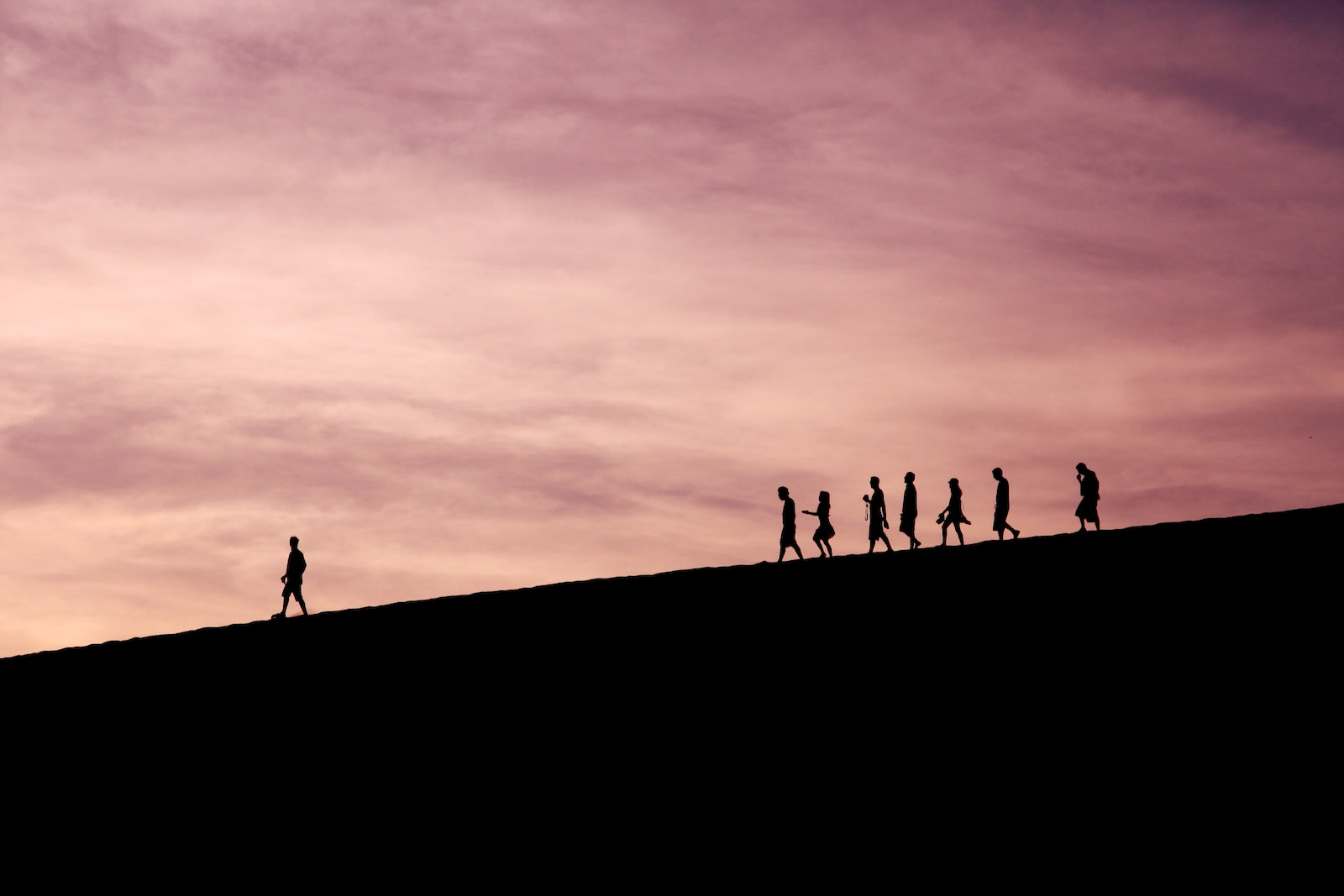 The Executive Coach's Guide: Navigating Leadership Challenges for Success - silhouette of people on hill