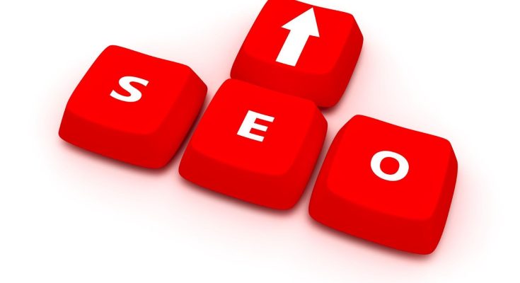 Elevating Digital Profiles with the Top SEO Company in Ahmedabad